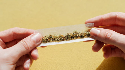 Rollare una canna senza tabacco