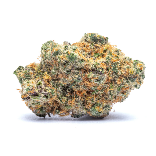 Amnesia THV+