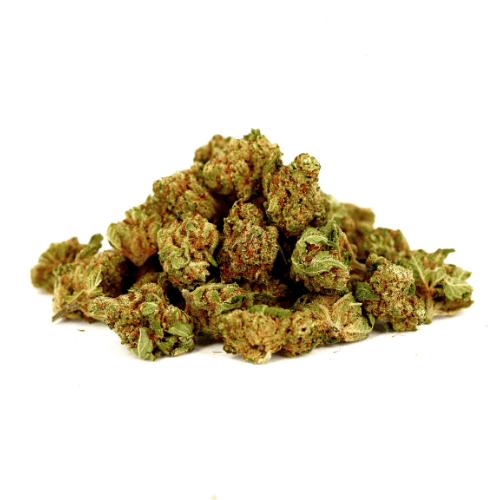 Pop Corn Orange Bud THV-N10